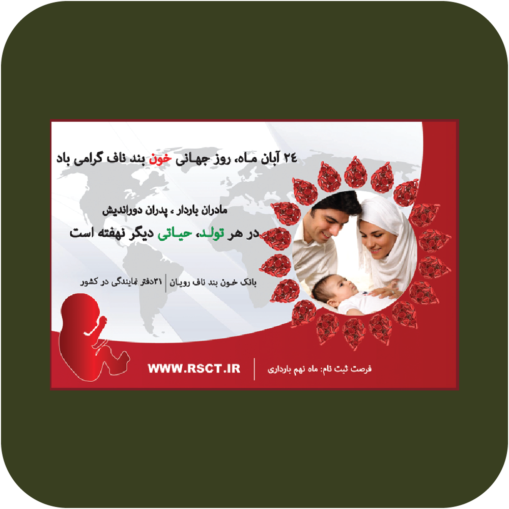 نمونه 5