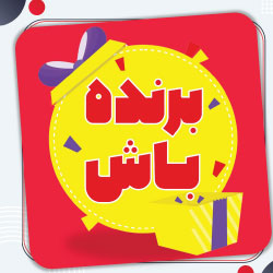 نمونه 1